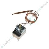 ΘΕΡΜΟΣΤΑΤΗΣ 30-110C CAEM